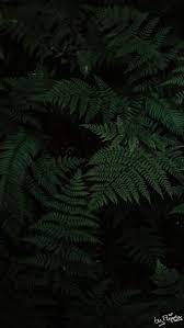 Pin On Wallpapers