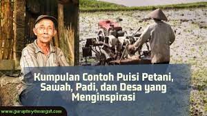 Terjawab • terverifikasi oleh ahli. Kumpulan Contoh Puisi Petani Sawah Padi Dan Desa Yang Menginspirasi Guru Penyemangat