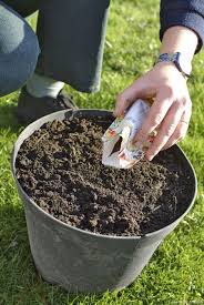 Creer Un Massif Pour 3 Fois Rien Avec Des Vivaces Vivaces Jardin Facile Jardinage
