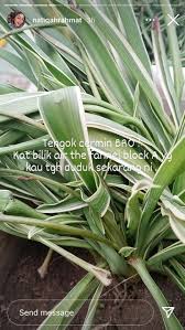 Suami curang adalah sesuatu yang amat sukar diterima oleh seorang isteri yang amat menyayangi dan mengasihi suaminya sepenuh hati selama ini. Isteri Penyanyi Rap Terkenal Dakwa Suami Curang