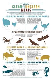 God Reveals Which Animals Including Fish And Birds Are Suitable And Unsuitable For Human Consumption In Leviticus 11 And Deuter Bible Food Bible Diet Bible