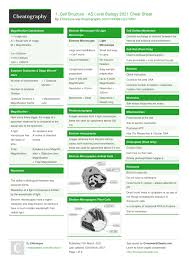 Plant cell walls are made mainly of cellulose, but can also contain hemicellulose, pectin, lignin and other polysaccharides. 1 Cell Structure As Level Biology 2021 Cheat Sheet By Eldunique Download Free From Cheatography Cheatography Com Cheat Sheets For Every Occasion