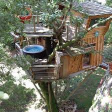 La Cabane Perchee Fuscia Tarnos Treehouseclub Coole Baumhauser Baumhaus Baumhutte