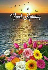 Check spelling or type a new query. Goodmorning Flowers Birds Image Justone