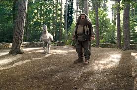 Distributed by warner bros., the series consists of eight fantasy films1 beginning with harry potter and the philosopher's stone (2001). 10 Things You Might Not Know About Hagrid Wizarding World