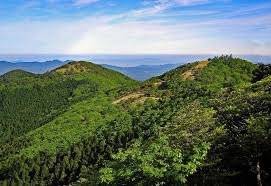 山と溪谷オンライン