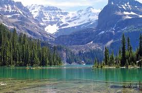 It is bounded to the north by yukon and the northwest territories, to the east by the province of alberta, to the south by the u.s. 16 Top Rated Tourist Attractions In British Columbia Planetware
