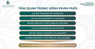 Kênh phân phối là gì? Quy trình xây dựng kênh phân phối chuẩn (Phần 1)