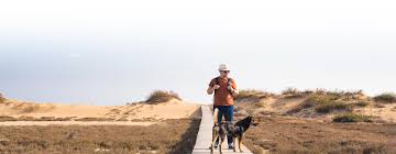 Symptoms of cancer in dogs start with the scary sight of your dog collapsing. Lung Cancer Causes Symptoms Diagnosis Treatment