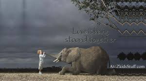 Download beautiful, curated free backgrounds on unsplash. Elephant Desktop Wallpapers Wallpaper Cave