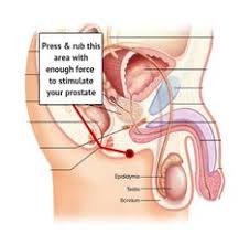 Giving the prostate a regular massage is good for the prostate and other health benefits and may reduce the risk of cancer. What Not