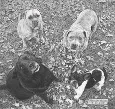 How to tutorial on using my own watercolor technique to make a realistic watercolor painting using photoshop cc. On Drawing Pet Portraits Realism Today