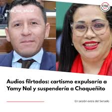 La bancada cartista de la Cámara de Senadores anunció que para esta tarde a  las 14:00, se convocará a una sesión extraordinaria para tratar el pedido  de pérdida de investidura de la