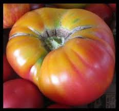 This tomato originated from the state of kentucky. Tomato Beefsteak Pineapple Beefsteak Tomato Seeds