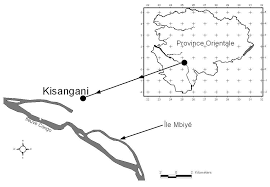 Image result for Leptonychia tokana