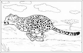 Gepard Ausmalbilder 1ausmalbilder Com