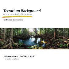 Image result for Terrarium Cling Background