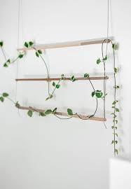 Diy An Indoor Trellis For Climbing Vines Gardenista Indoor Vines Indoor Trellis Wall Climbing Plants