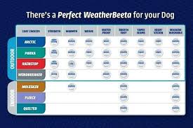 Horse Blanket Chart Zionak Org