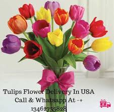 Pin On Flower Delivery