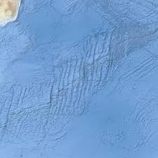 Image result for Calostephane