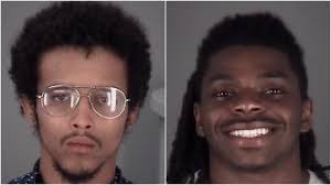 Wesley Chapel homeowner fires