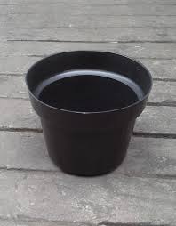 Tanaman anggrek, tanaman buah, tanaman hias, tanaman sayur, tanaman jual pot tanaman hias bunga orange unik lapak huzora. Jual Pot Plastik Kecil Hitam No 20 Merk Eko Plas Harga Murah Selatan Jaya Agen Distributor Plastik Surabaya