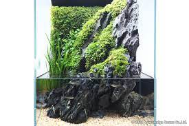 Prevents the development of harmful bacteria Enjoy Dooa Aqua Terrarium Feeling Cool From The Combination Of Greenery And Stones Ada
