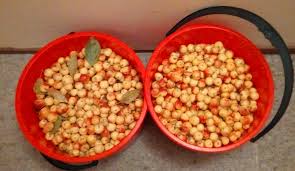 Community Fruit Wellington...