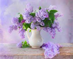 Lilacs Still Life Hd Wallpaper Lilac Flowers Beautiful Flowers Beautiful Flower Arrangements