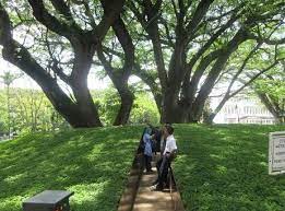 Biaya masuk taman labirin cempaka#spf=1607716768190 / biaya masuk taman labirin cempaka#spf=1607716768190. Lokasi Dan Harga Tiket Masuk Wisata Taman Labirin