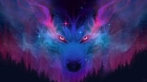 Download the best wolf wallpapers backgrounds for free. Cosmic Wolf Hd Wallpaper