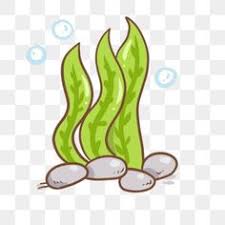 Ilustrasi hidupan laut dalam air gambar unduh gratis imej. 8 Border Design Ideas Border Design Clip Art How To Draw Hands