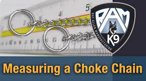 Check spelling or type a new query. How To Measure A Dog For A Choke Chain Youtube
