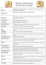 herb companion planting chart templates at