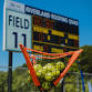 FALL STATE FASTPITCH — mTrade Park - mTrade Park, 4259 Old Sardis Rd Event Image