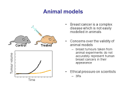 It is an interesting fact that even benign (slow growing) forms of canine breast cancer are potentially malignant (cancerous) in nature, and cancerous cells can. The Independent Cancer Patients Voice A Warm Welcome To Leeds Ppt Download