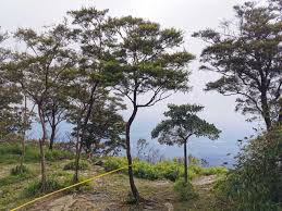 Maybe you would like to learn more about one of these? Gunung Jerai Percutian Dan Aktiviti Menarik Percutian Bajet