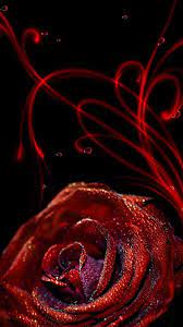 Rose Of Wallpaper For Mobile Best Hd Wallpapers Red Roses Wallpaper Hd Flower Wallpaper Android Wallpaper Red