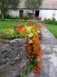 Pin On Garden Beautiful