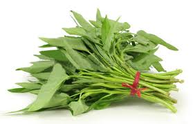 Hasil gambar untuk KANGKUNG