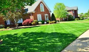 These spring lawn care steps will help you maintain your lawn adequately so that it looks green and healthy in the warm weather. Spring Lawn Care Tips For The Northeast Brock Farms