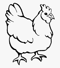 We did not find results for: Chicken Clipart Coloring Page Printable Chicken Clipart Colouring Pages Of Hen Hd Png Download Kindpng