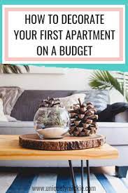 How To Decorate Your First Apartment On A Budget First Apartment Trendy Home Decor Creative Home Decor