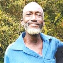 Willie C. Williams Obituary (2024)