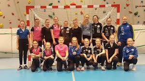Посмотрите твиты по теме «#moelv» в твиттере. Malvakt 1 Moelv Handball No