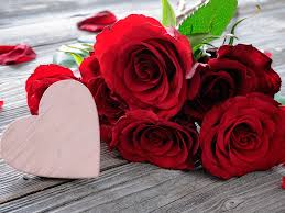 When Is Rose Day 2019 Significance And Importance Of Rose Day In Valentine S Week Rose Day Kab Hai Rose Day Date La ilaha illallah muhammadur rasulullah hd mismatch images and whatsapp status video 2019 free download on your computer, laptop and mobile phones today, mazhabi status in urdu. when is rose day 2019 significance and