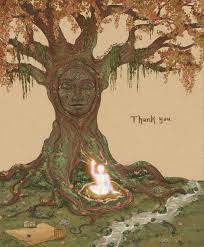 Jessie Augustine (jmaugus)