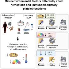 Image result for Platelet Function Closure Time