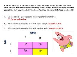 Choose your answers carefully after you have run the square. Punnett Squares Middle School Science Blog